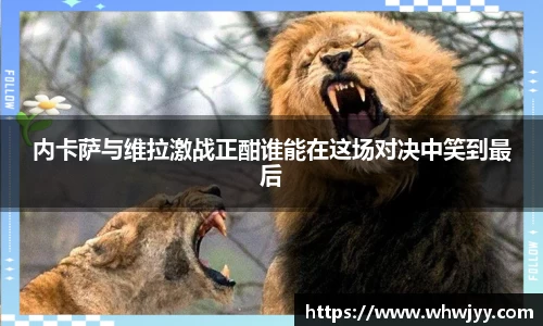 乐发Vll官网
